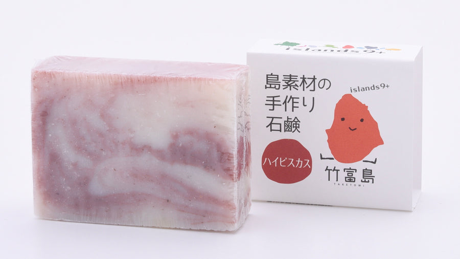 DSC1341_900x.jpg?v=1644062412